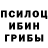 Галлюциногенные грибы Magic Shrooms Nestapy SO2