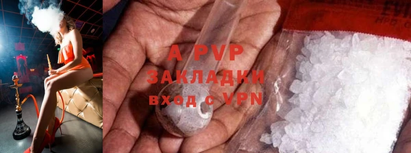 гидра Покачи
