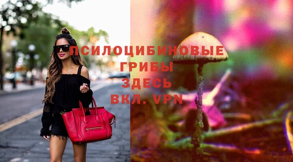 крисы Абдулино