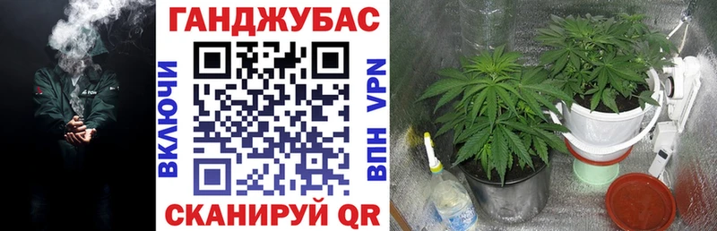 Марихуана THC 21%  мориарти официальный сайт  Змеиногорск 